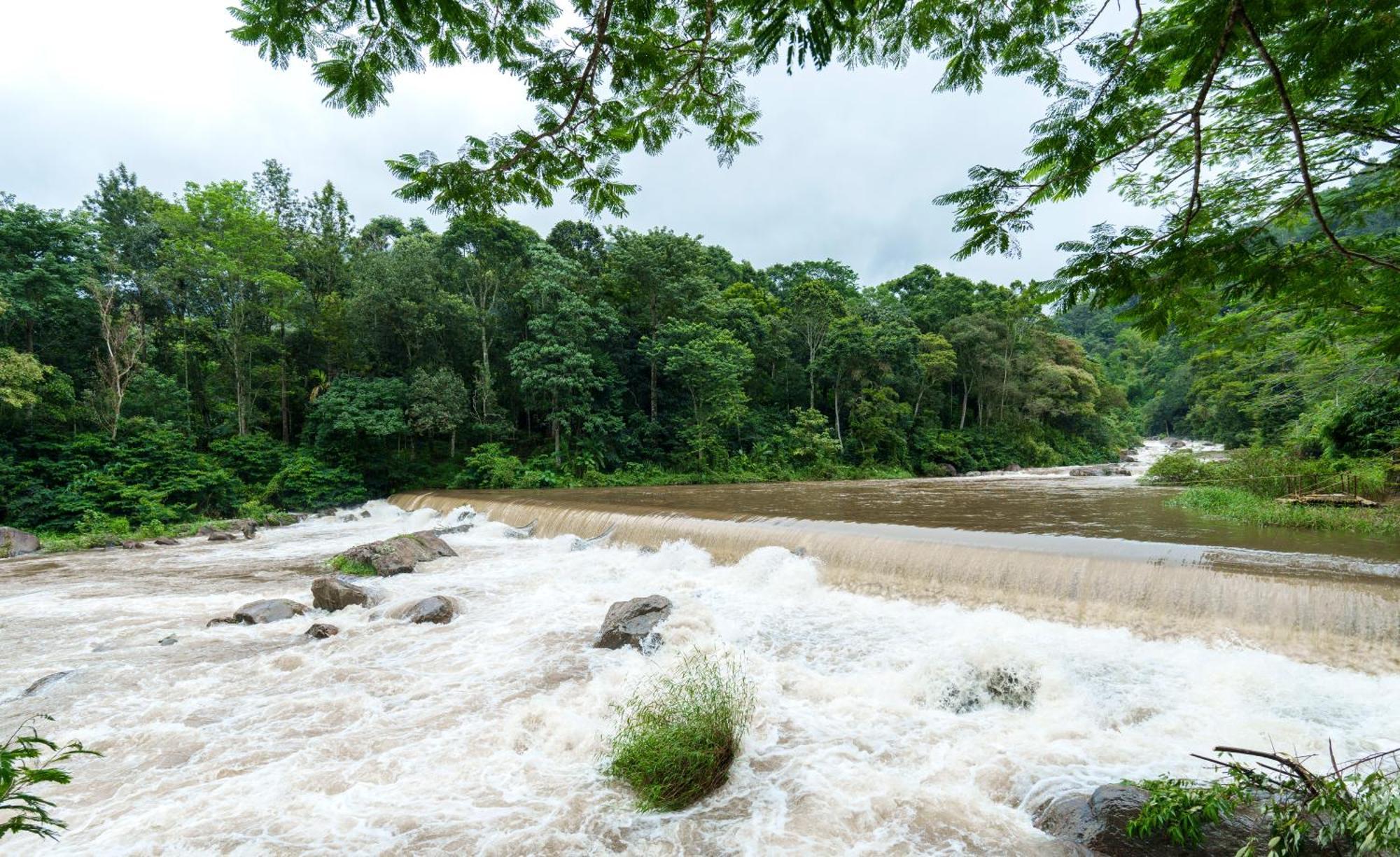 Rivulet Resort Munnar Luaran gambar