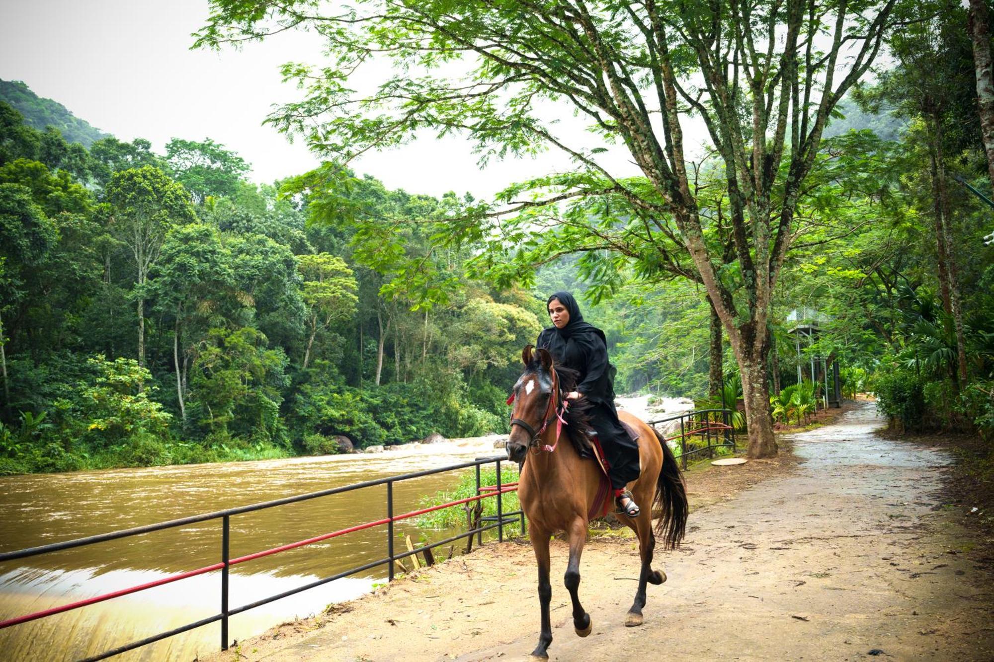 Rivulet Resort Munnar Luaran gambar